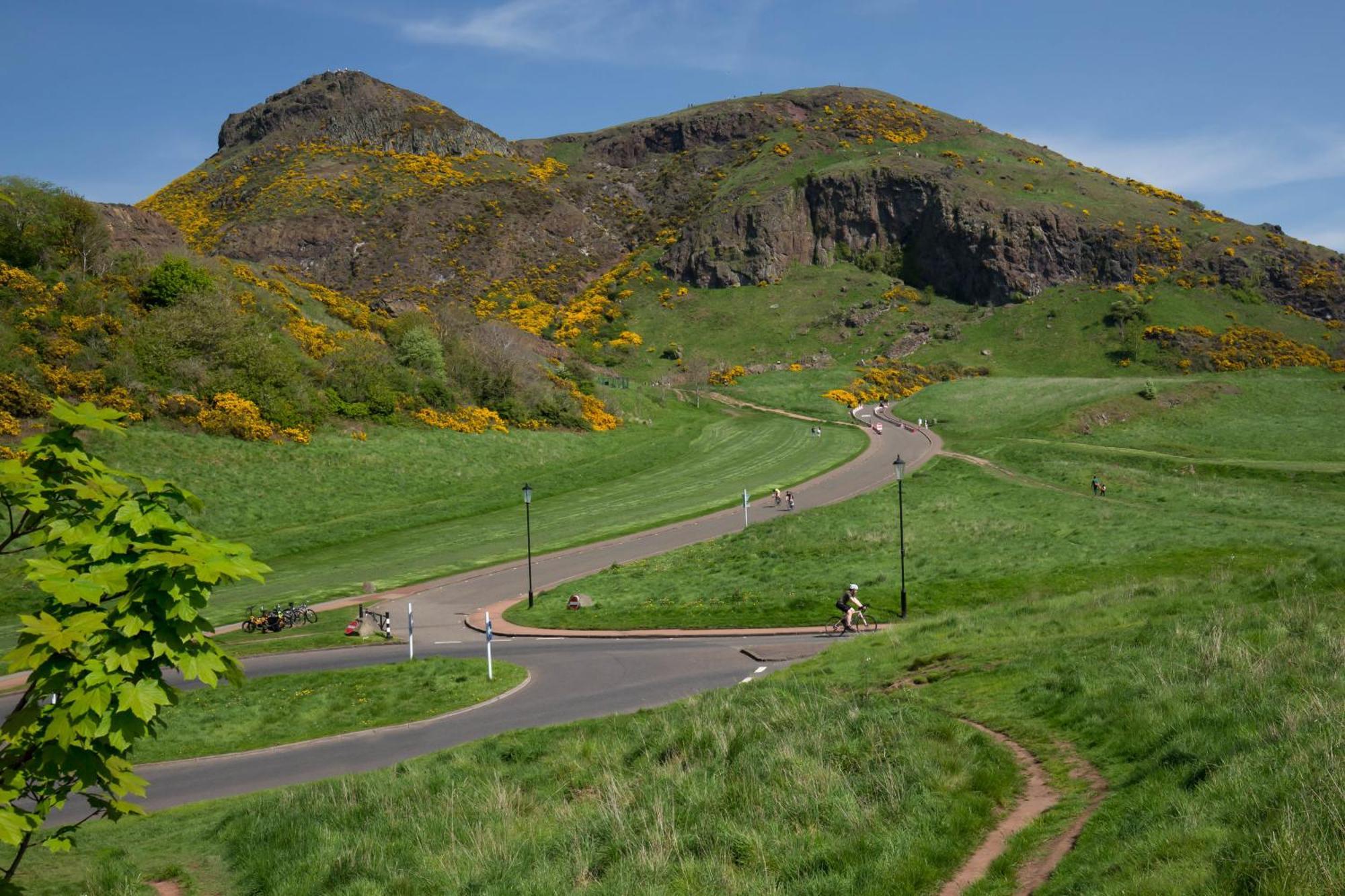 Holyrood Hidden Gem Apartment